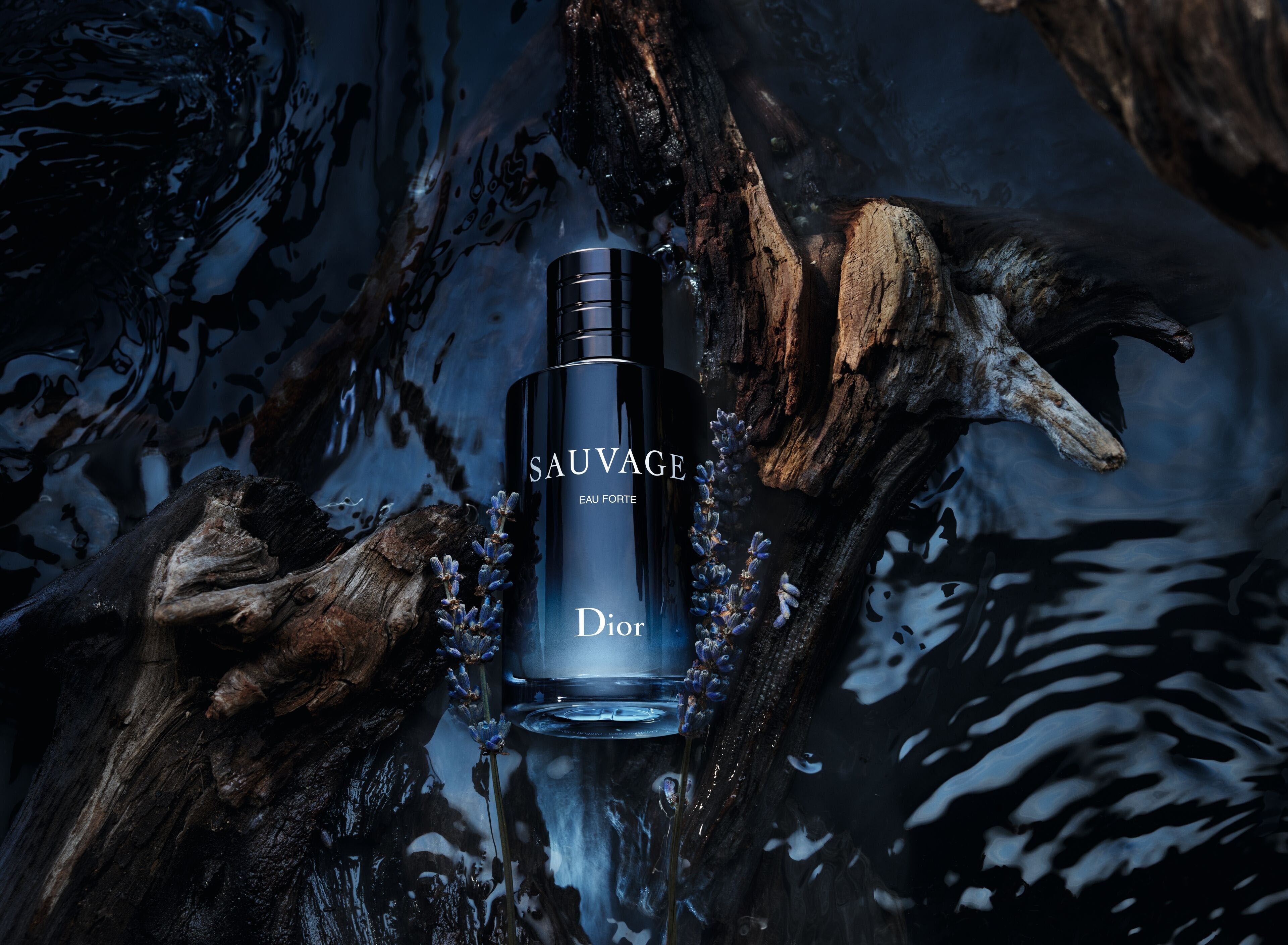 SAUVAGE DIOR PERFUME