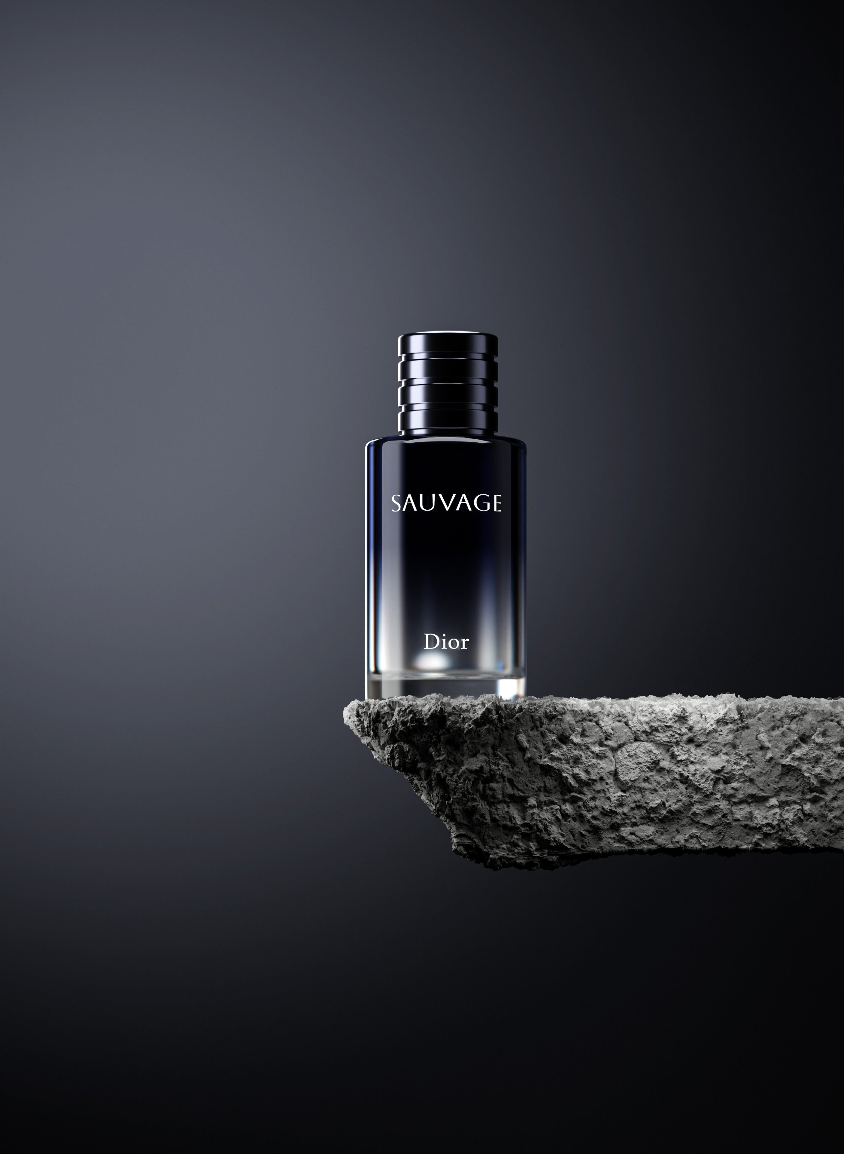 SAUVAGE DIOR PERFUME